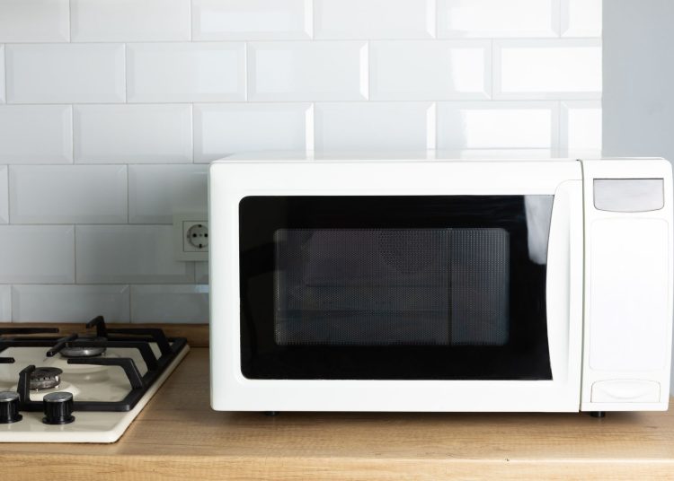 cientistas-encontram-mais-de-700-tipos-de-bacterias-em-micro-ondas