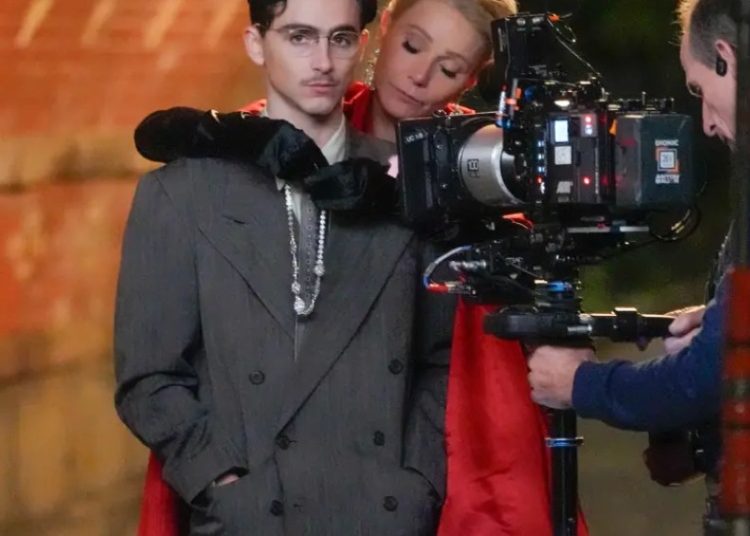 gwyneth-paltrow-nega-diretor-de-intimidade-em-filme-com-timothee-chalamet