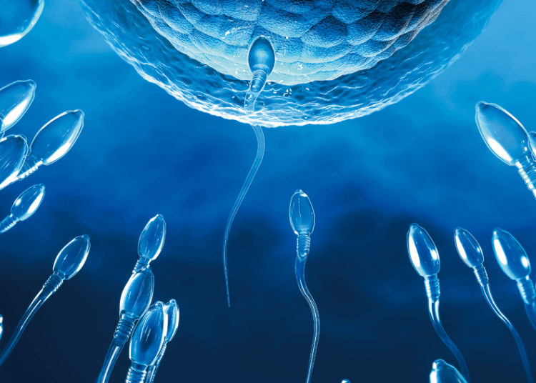 estudo-aponta-doenca-que-afeta-a-qualidade-do-semen-desde-a-juventude