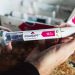 diabetes-ou-obesidade:-afinal,-a-quem-se-destina-o-mounjaro?