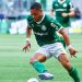 vitor-roque-amplia-marca-terrivel-e-palmeiras-leva-vaias