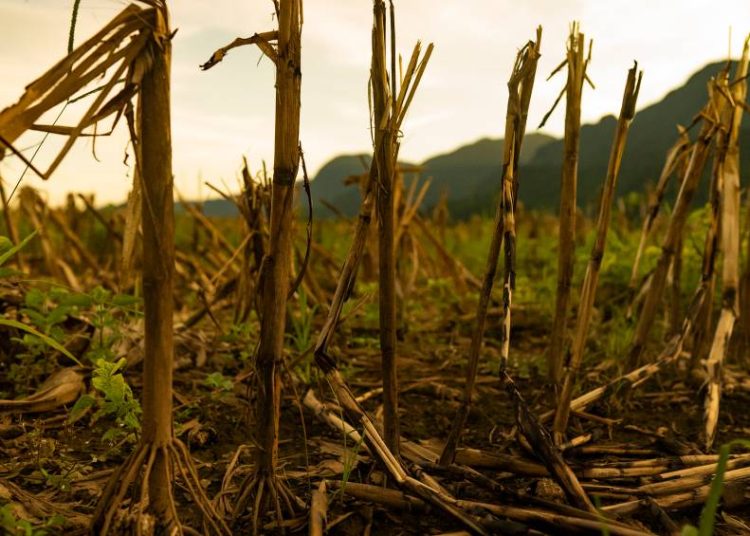 ‘mudancas-climaticas-lancam-duvida-sobre-erradicacao-da-fome’