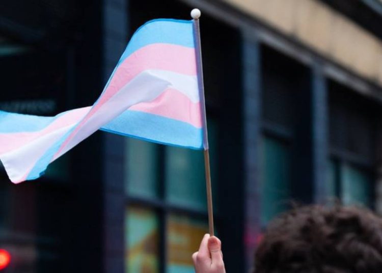 curso-de-lideranca-feminina-inclui-especialistas-trans-como-formadoras