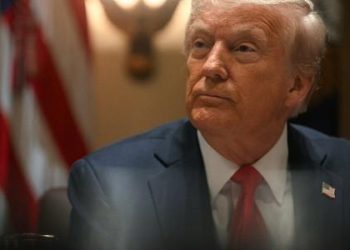 trump-diz-que-nao-precisa-de-carros,-metais,-madeira-e-energia do canada