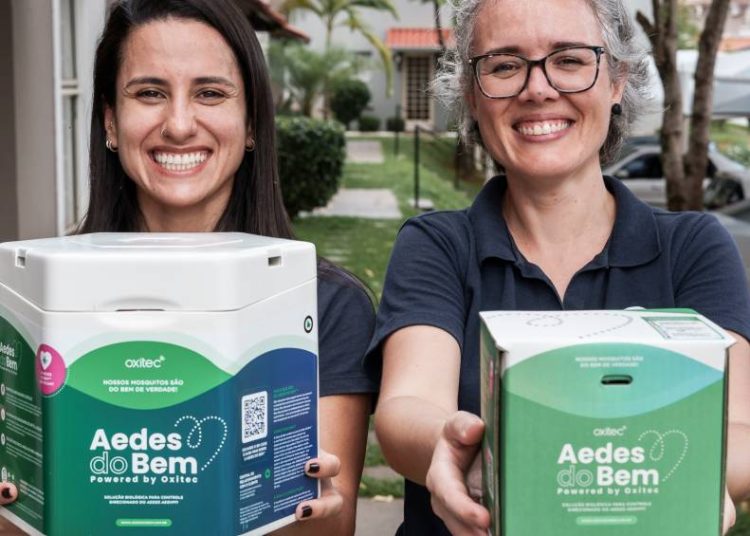 empresa-reforca-producao-do-‘aedes-do-bem’-apos-emergencia-de-dengue-em-sp