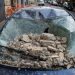terremoto-atinge-napoles-e-reacende-temores-sobre-supervulcao-campos-flegreos
