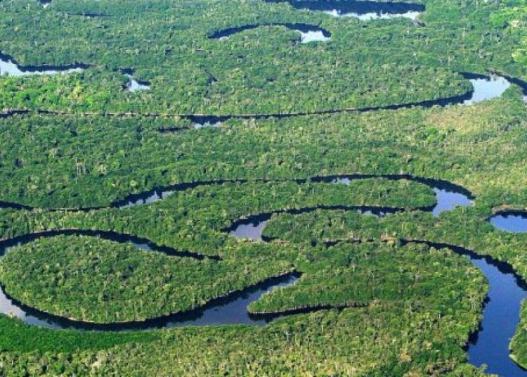 divisao-de-florestas-ameaca-a-biodiversidade