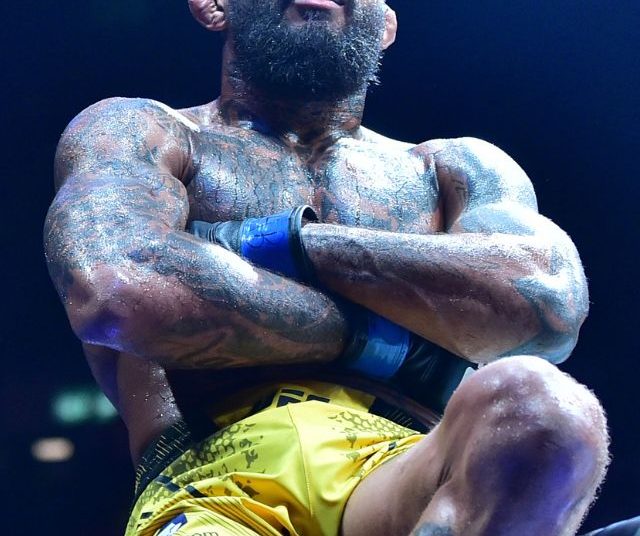 conheca-os-brasileiros-que-vao-lutar-no-ufc-vegas-105