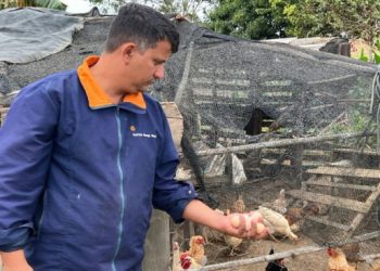 secretaria-de-agricultura-realiza-encontro-sobre-legalizacao-dos-entrepostos-de-ovos