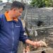 secretaria-de-agricultura-realiza-encontro-sobre-legalizacao-dos-entrepostos-de-ovos