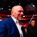 ufc:-superluta-de-pesos-pesados-ja-estaria-fechada