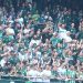 coritiba-tem-os-melhores-publicos-da-serie-b-e-tecnico-exalta-torcida