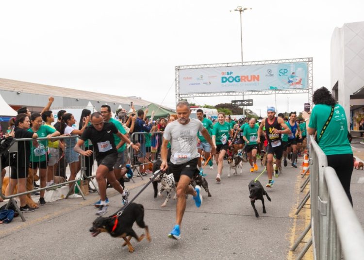 10a-sp-dog-run:-maior-corrida-pet-do-brasil-celebra-uma-decada