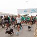 10a-sp-dog-run:-maior-corrida-pet-do-brasil-celebra-uma-decada