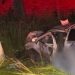 homem-morre-e-mulher-fica-em-estado-grave-apos-acidente-na-estrada-do-carvao,-em-campos
