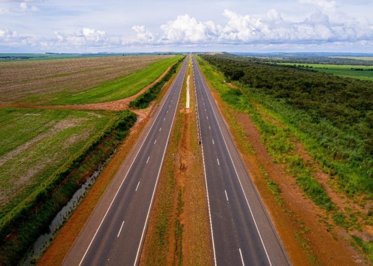 no-aniversario-do-mato-grosso,-um-convite-a-regeneracao-da-terra