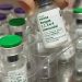 sao-joao-da-barra-comeca-vacinacao-contra-a-dengue