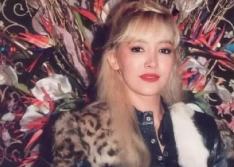 morre-a-cantora-sol,-‘rival’-de-gretchen,-aos-59-anos-–-jovem-pan