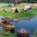 rio:-apos-galinhas-d'angola-aparecerem-mortas,-bioparque-esta-fechado