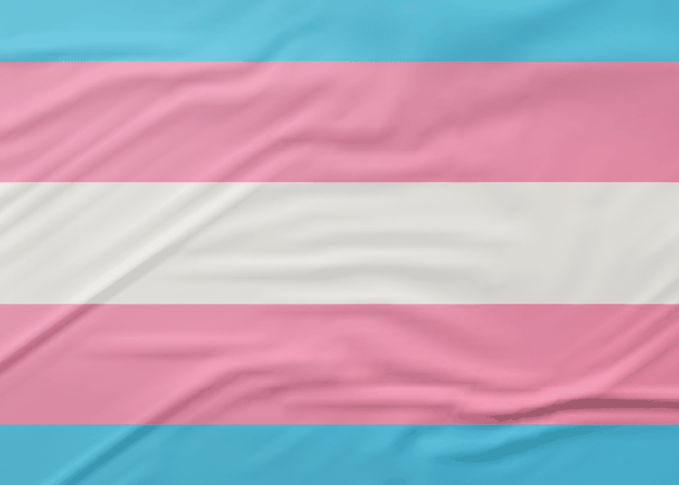 Pesquisa recomenda ações de prevenção ao HPV focadas em pessoas trans