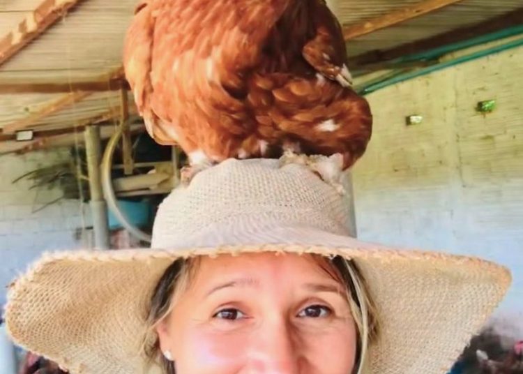 Brasil é referência na alimentação escolar, diz especialista