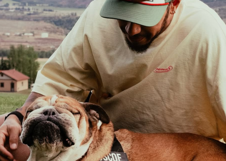 Morre aos 99 anos a atriz Berta Loran, ícone da comédia no Brasil