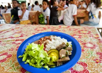 Investimento global em merenda dobra e alimenta 80 milhões a mais