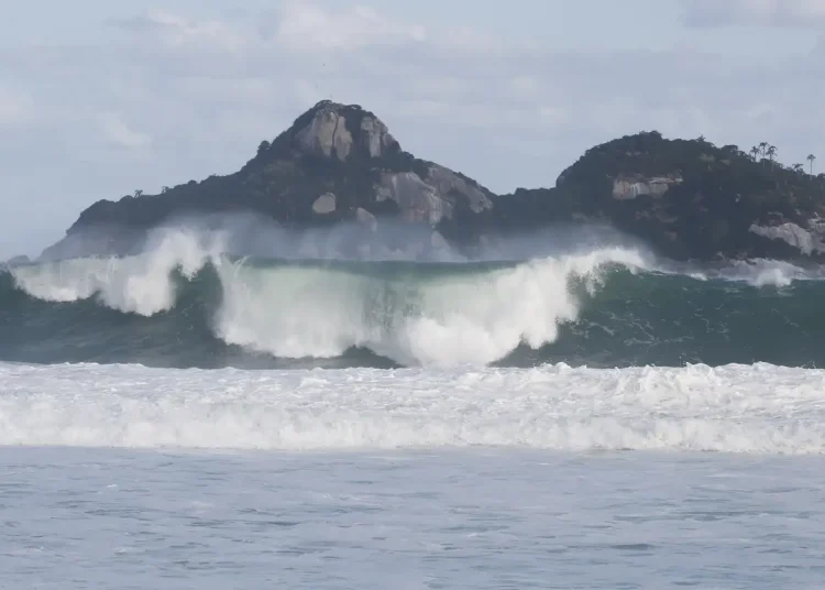 Jovens de 9 países participam de curso de pesquisas oceânicas no Rio