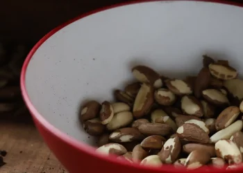 Agricultura familiar do Nordeste vai à maior feira mundial alimentos