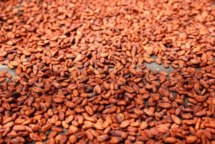 Vendas do Dia das Crianças devem crescer 1,1% e movimentar R$ 9,96 bi