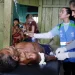 Mortes em Terra Yanomami caem 27,6% desde declaração de emergência