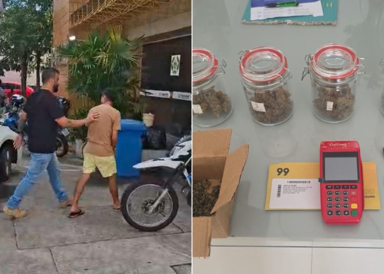 Polícia Civil prende foragido da Justiça em Campos e encontra estufa com cinco pés de maconha na sua casa