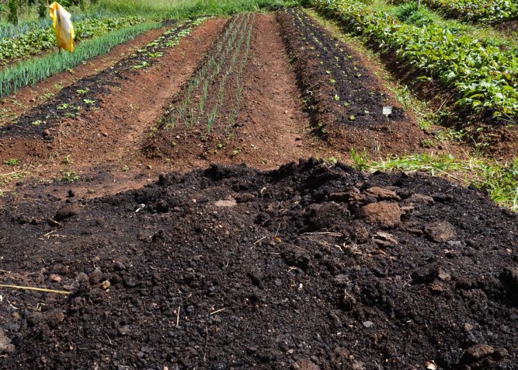 CMN amplia socorro a produtores afetados pelo clima