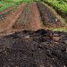 CMN amplia socorro a produtores afetados pelo clima