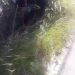 Homem morre após acidente de moto na Estrada do Porto do Açu