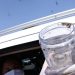 Saúde libera mosquitos estéreis para frear reprodução do Aedes