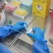 Novo teste faz diagnóstico de hantavirose em 20 minutos