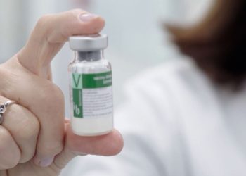Anvisa publica registro da vacina contra a dengue do Butantan