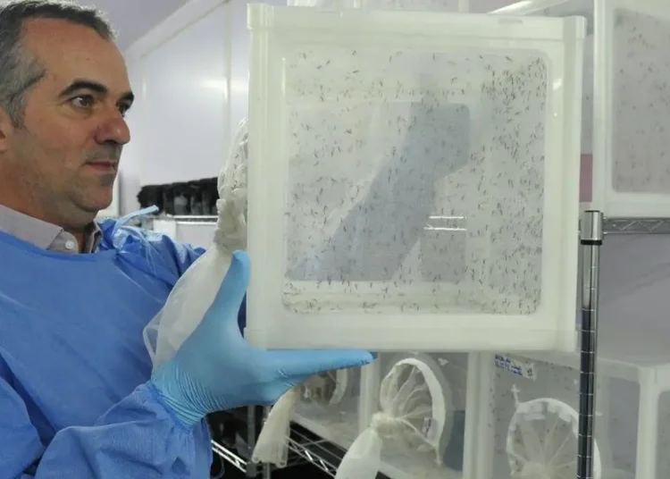 Brasileiro criador do “Aedes” que bloqueia dengue é eleito pela Nature