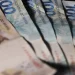 Reforma tributária: veja o que muda com o projeto aprovado pela Câmara