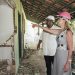 Prefeita Yara Cinthia anuncia construção de escola na localidade de Brejo Grande, em SFI