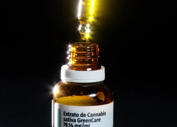 Anvisa aprova cultivo de cannabis por empresas e amplia acesso