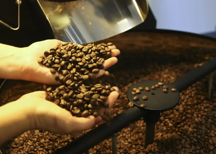 Exportação de café do Brasil cai em 2025, mas bate recorde em receita