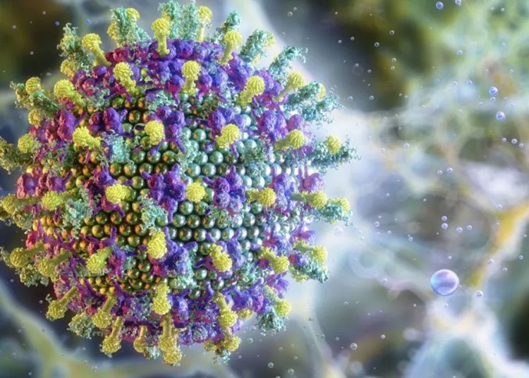 Ministério da Saúde diz que vírus Nipah não ameaça o Brasil