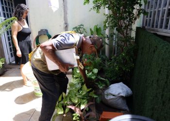 Estudo explica diferença de sintomas entre febre do Oropouche e dengue