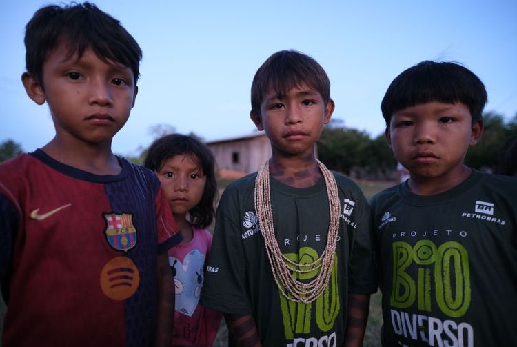 Vulnerabilidade reduz altura média de crianças indígenas e nordestinas