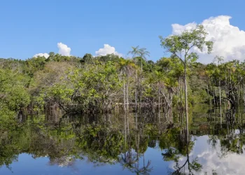 Governo levantou R$ 179 bi desde 2023 para transição ecológica