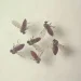 Subnotificados, casos de Oropouche atingem 2% da população brasileira