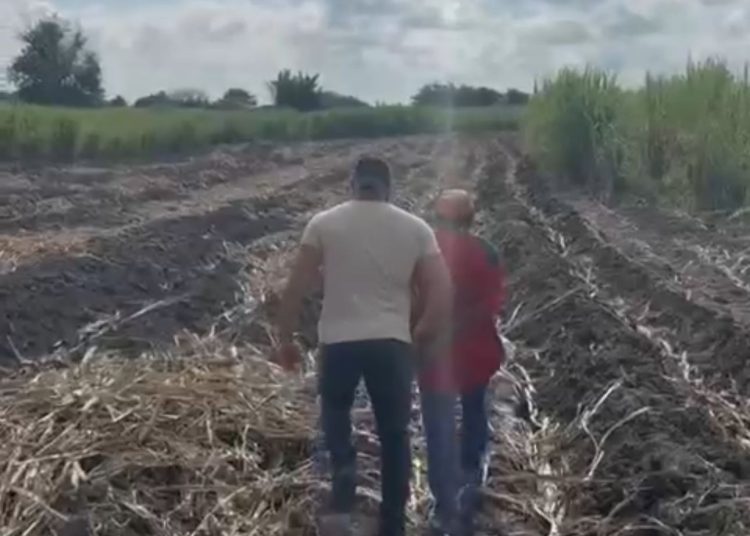 Homem acusado de abusar sexualmente da própria filha de 8 anos é preso em Campos