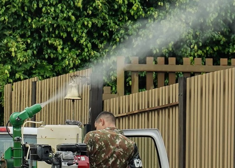 Mato Grosso do Sul vai receber vacina em projeto contra Chikungunya